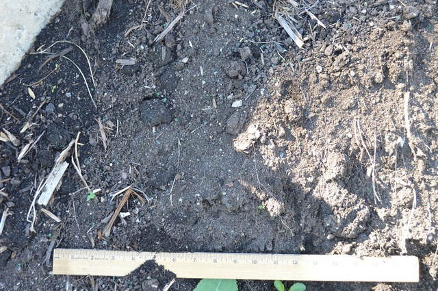 Soils Applewood Nursery Landscape Supply Rain Garden
