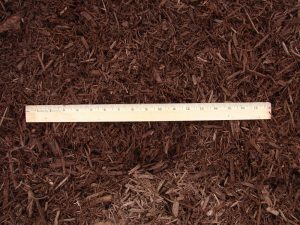 Forest Brown Mulch