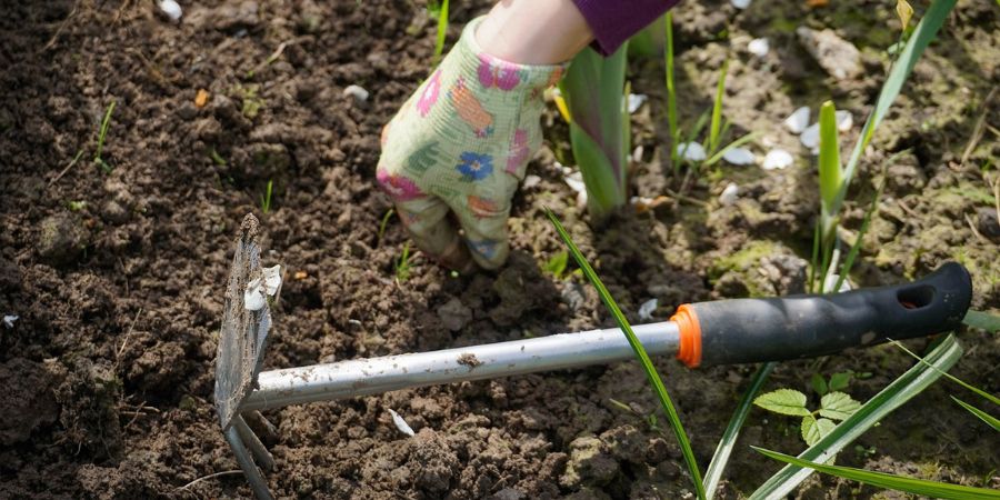 Applewood Nursery & Landscaping - Fall Planting