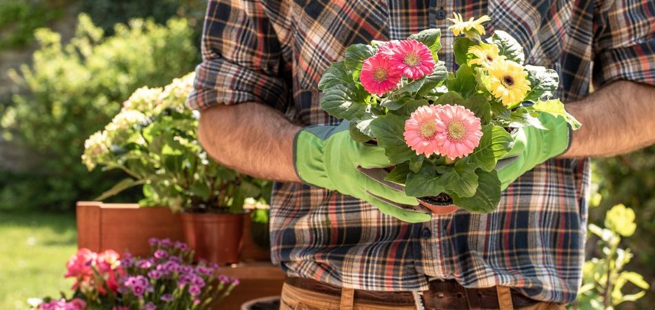 gardener